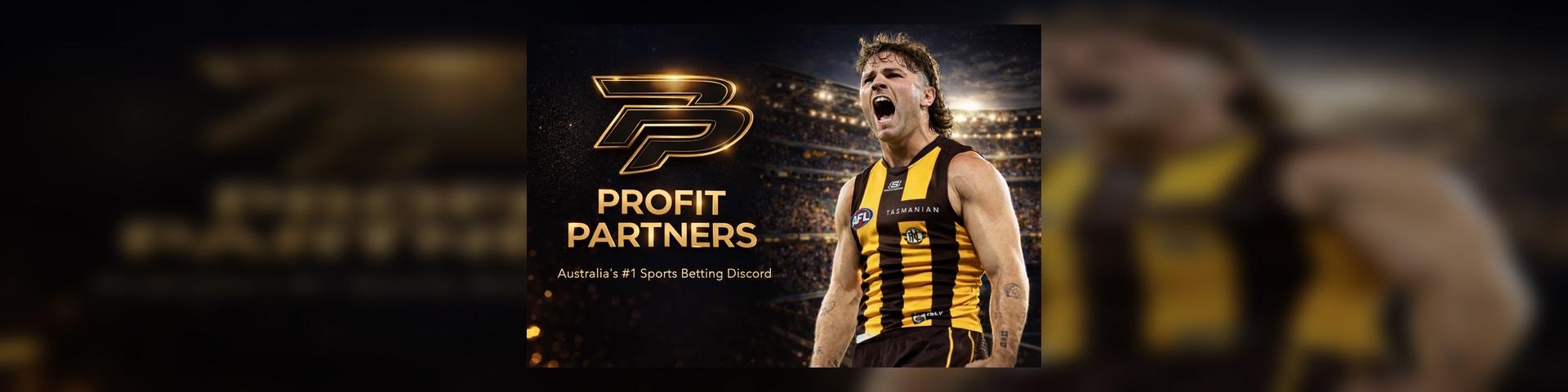 Discovery splash banner for β°β°β° PROFIT PARTNERS π Discord server
