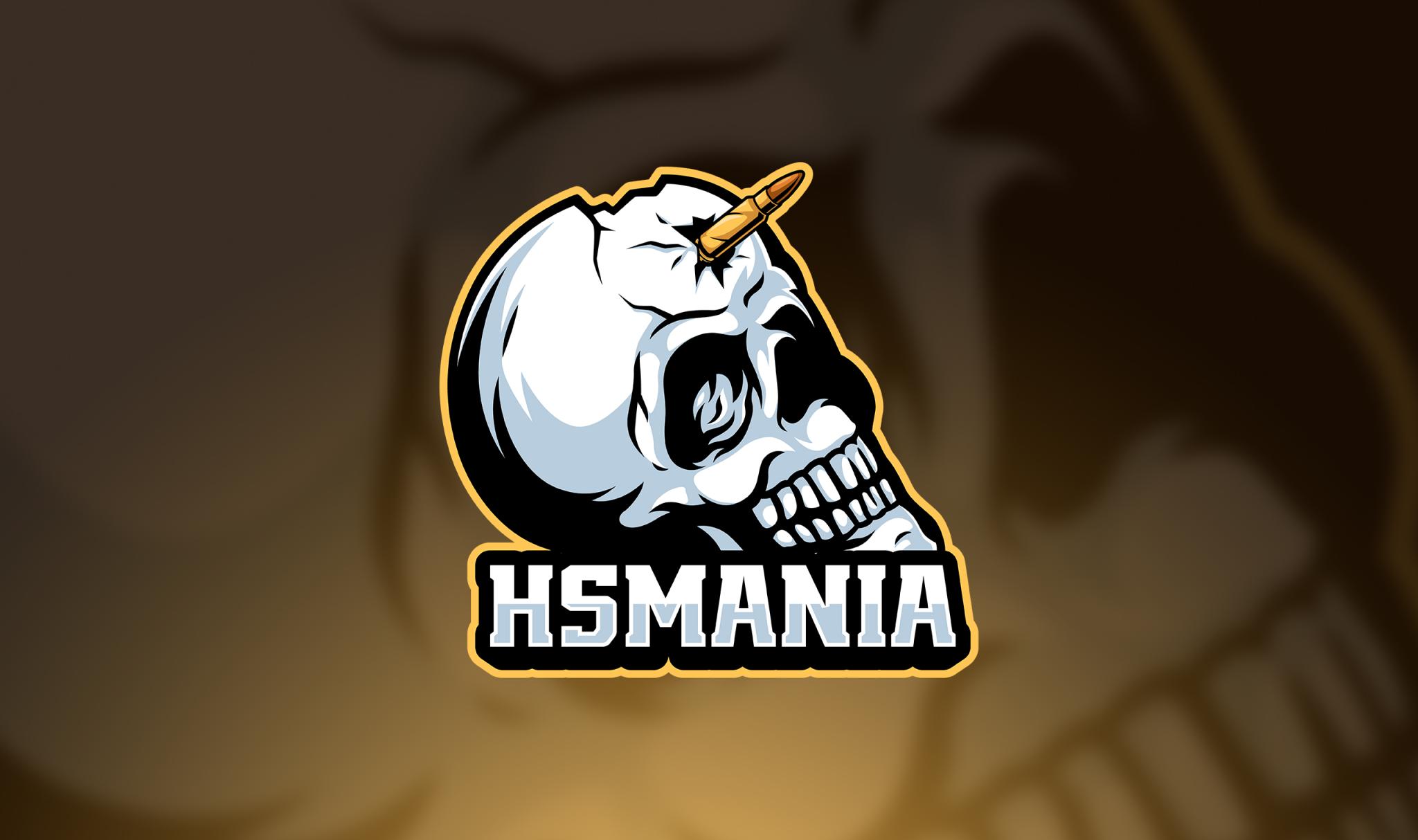 Discovery splash banner for HSMANIA 💀 Discord server