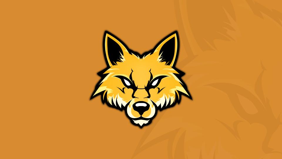 Discovery splash banner for 🦊 Lapex Network #SUMMER Discord server