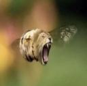 Discovery splash banner for ššššššš©¼šššš¦š¦š¦ Discord server