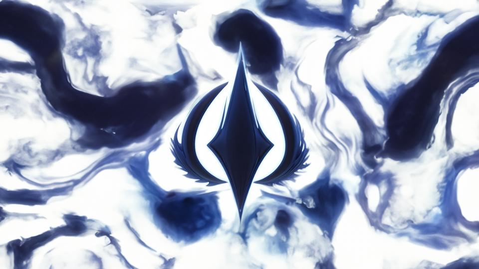 Discovery splash banner for Euphoriax Discord server