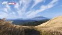 Discovery splash banner for Forza Vietnam 🇻🇳 Discord server