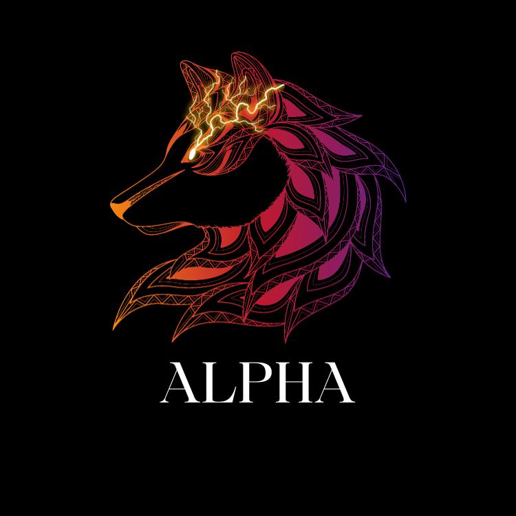 Discovery splash banner for Alpha Community Discord server
