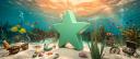 Discovery splash banner for ⋆ 1XT |  Sohbet & Oyun Discord server