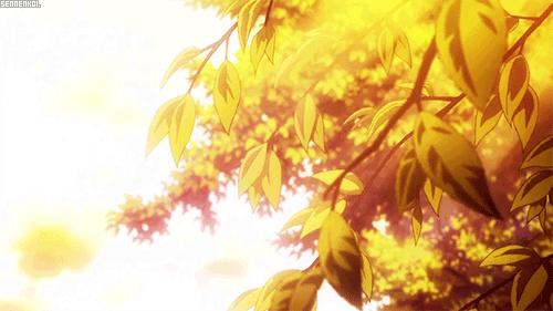 Discovery splash banner for Kiyomi Discord server