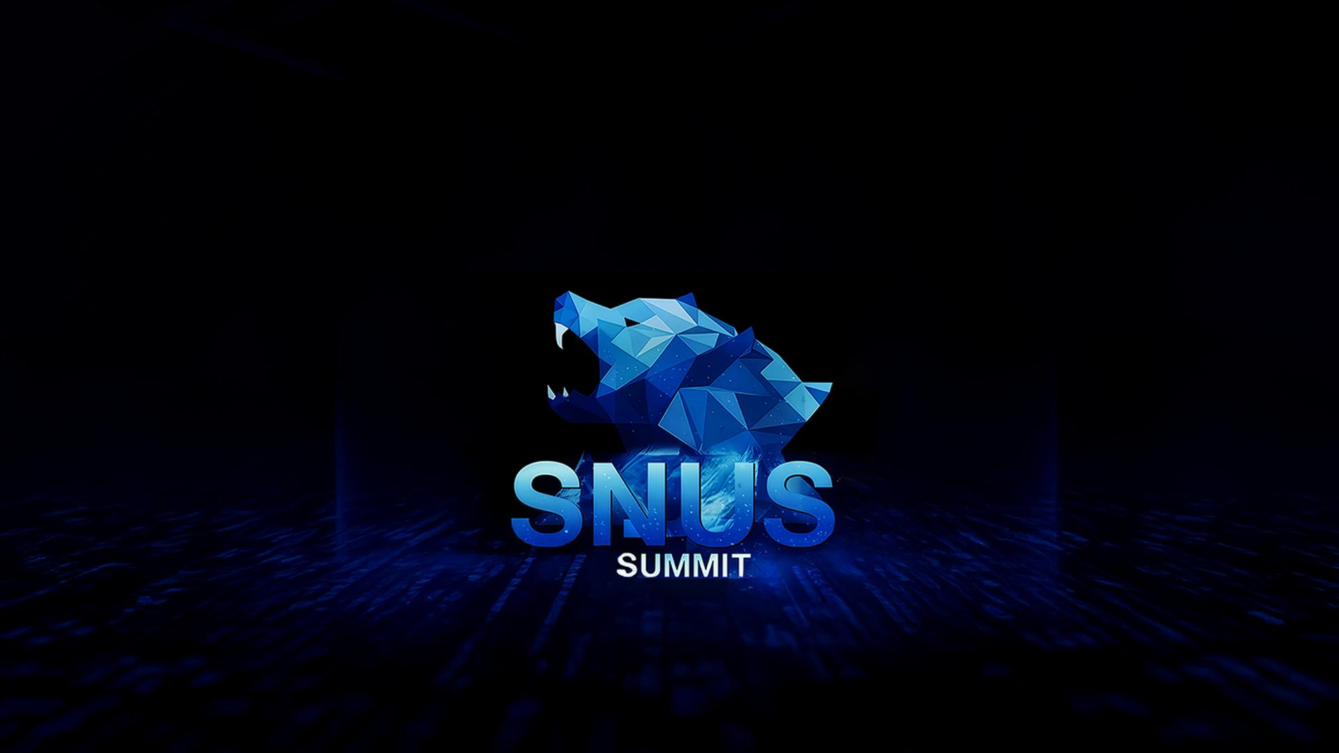 Discovery splash banner for Snus Summit Discord server