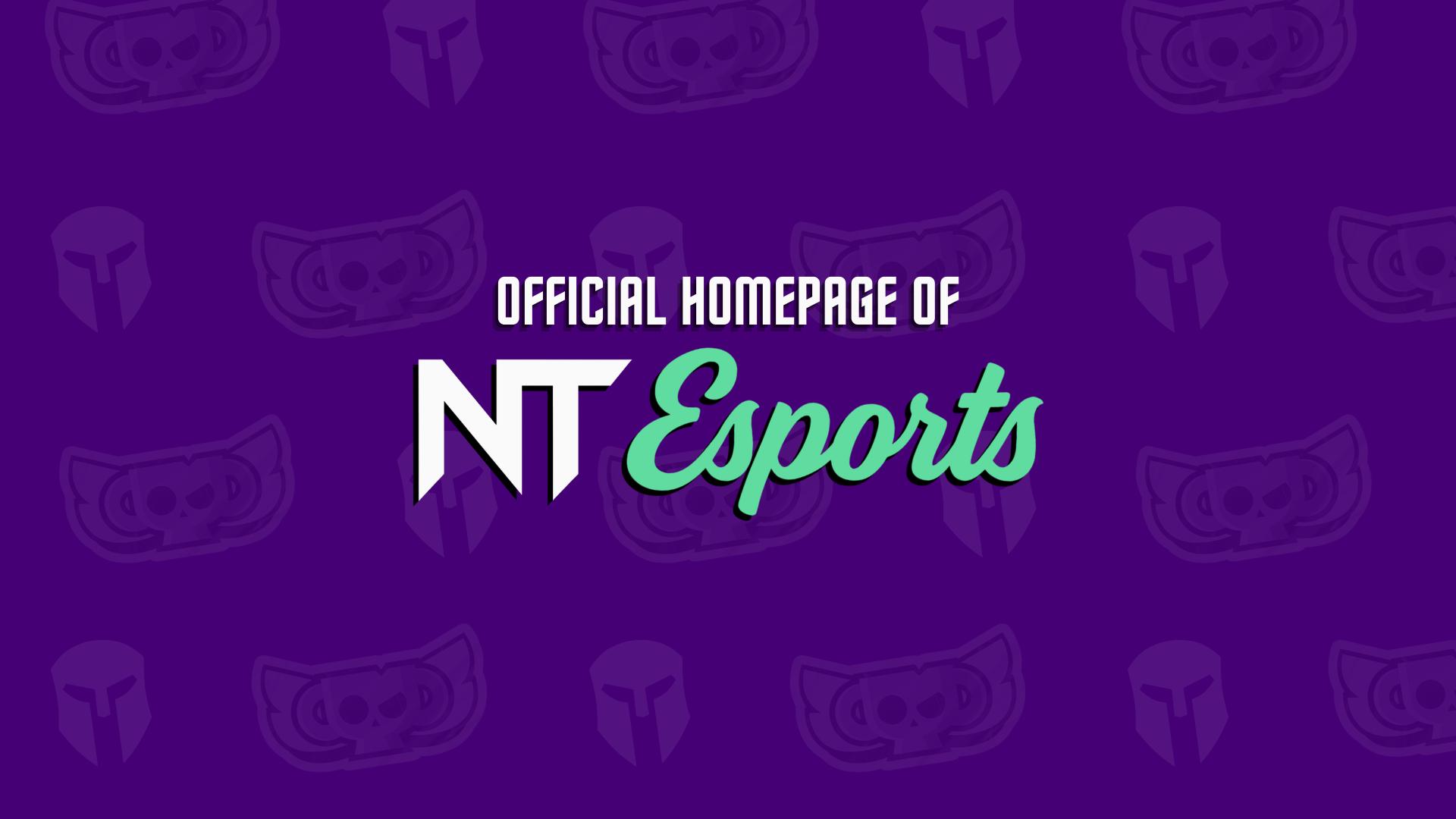 Discovery splash banner for NT | Esports Discord server
