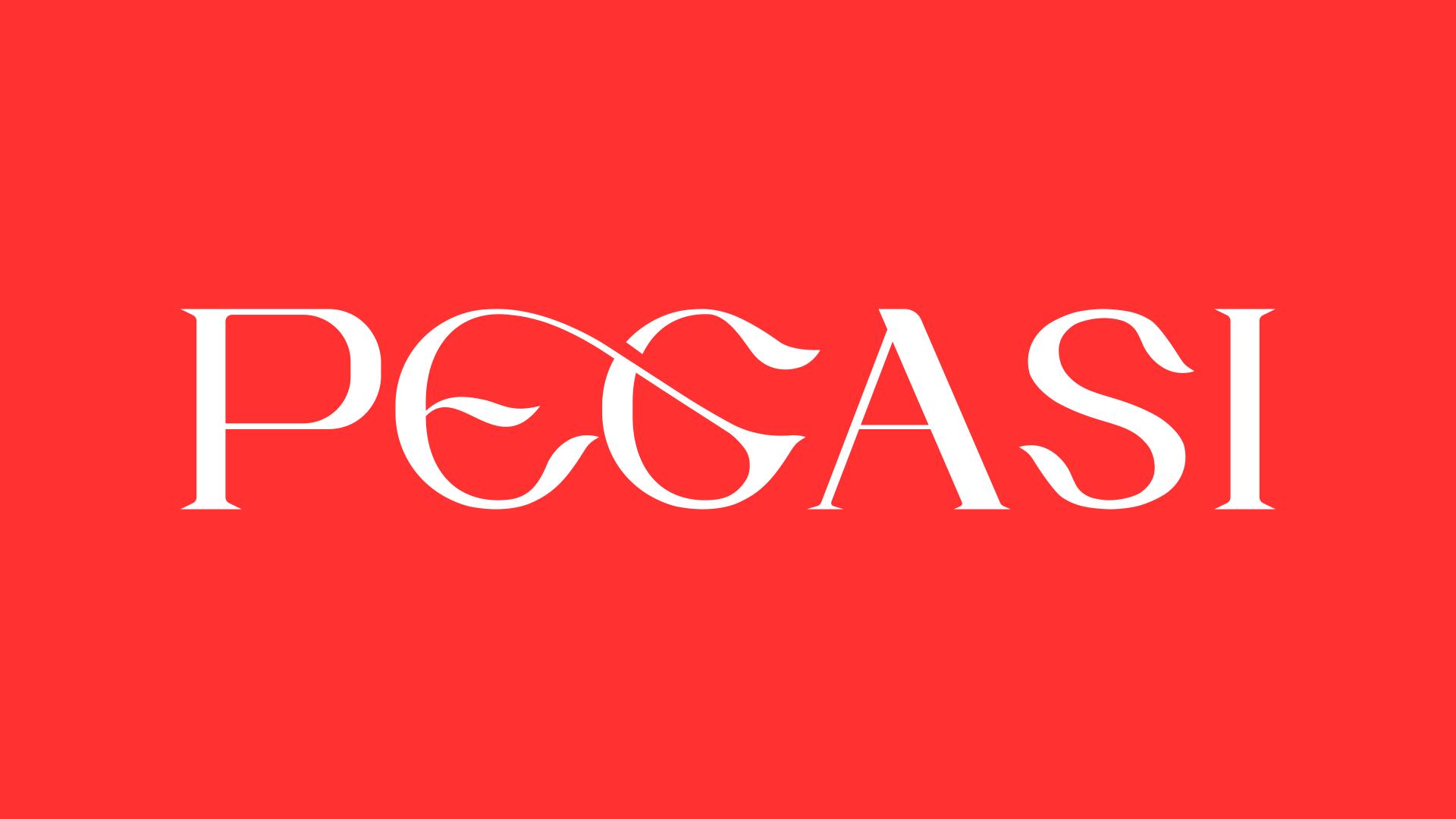 Discovery splash banner for Project PEGASI Discord server