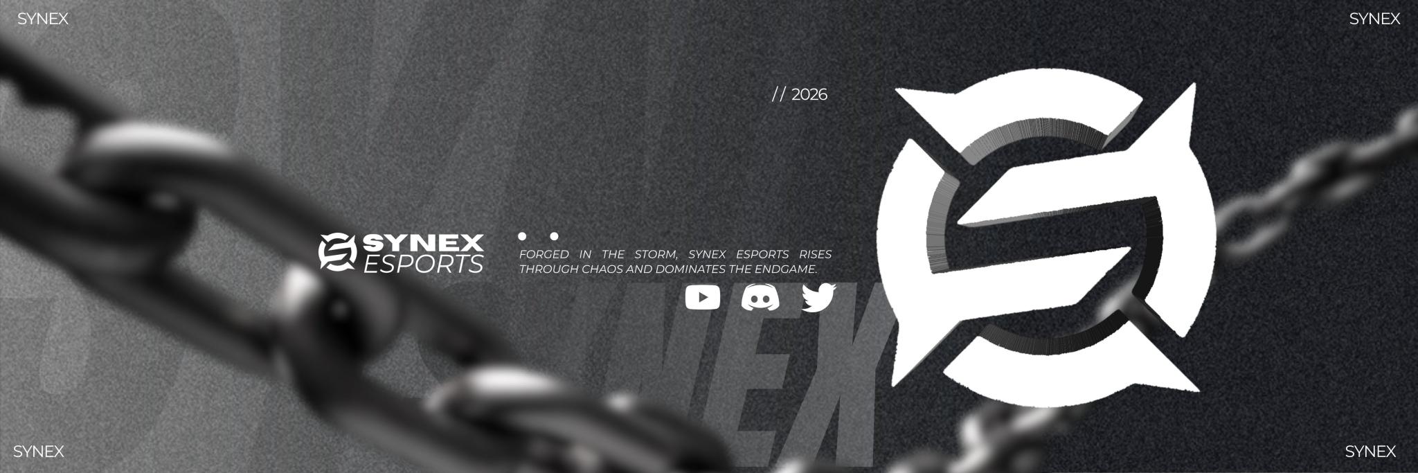 Discovery splash banner for Soon Discord server