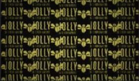 Discovery splash banner for The Official JOLLY Server Discord server