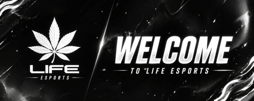 Discovery splash banner for LiFE ESPORTS • 🇮🇳 1700+ Discord server