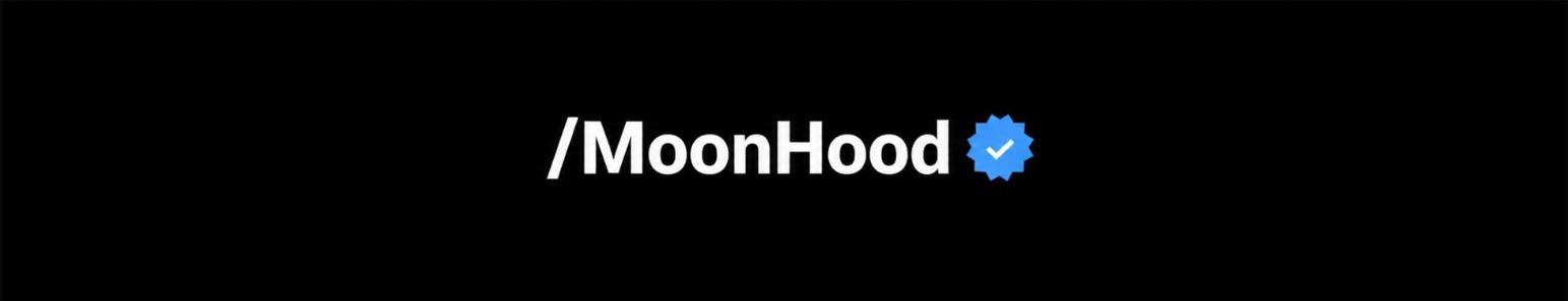 Discovery splash banner for MoonHood Discord server
