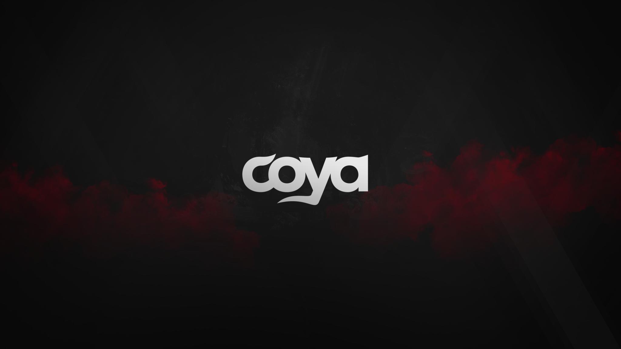 Discovery splash banner for Coya Discord server