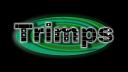 Discovery splash banner for Trimps Discord server