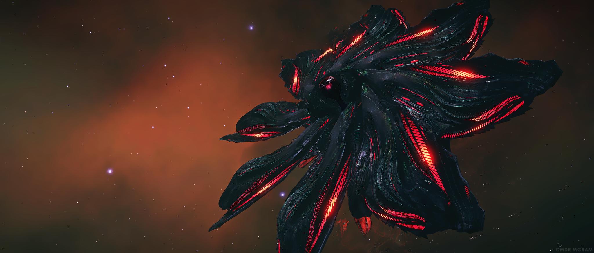 Discovery splash banner for Anti-Xeno Initiative Discord server