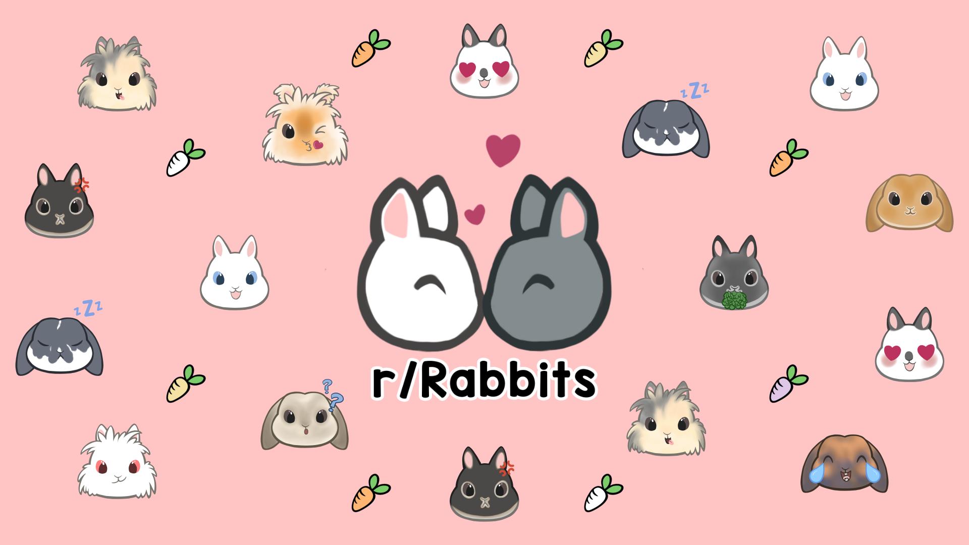 Discovery splash banner for Rabbitors Discord server