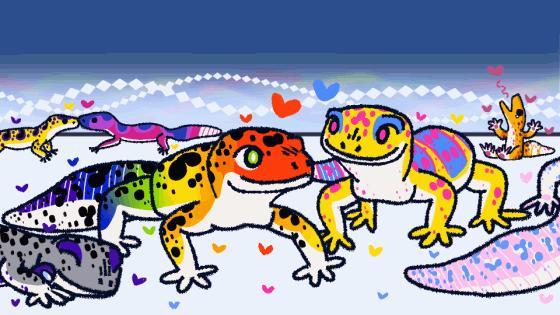 Discovery splash banner for Leopard Geckos Discord server
