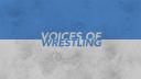 Discovery splash banner for Voices of Wrestling Discord server