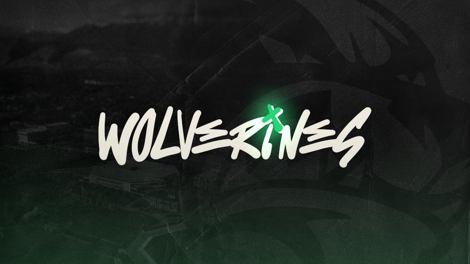 Discovery splash banner for Utah Valley Esports Discord server