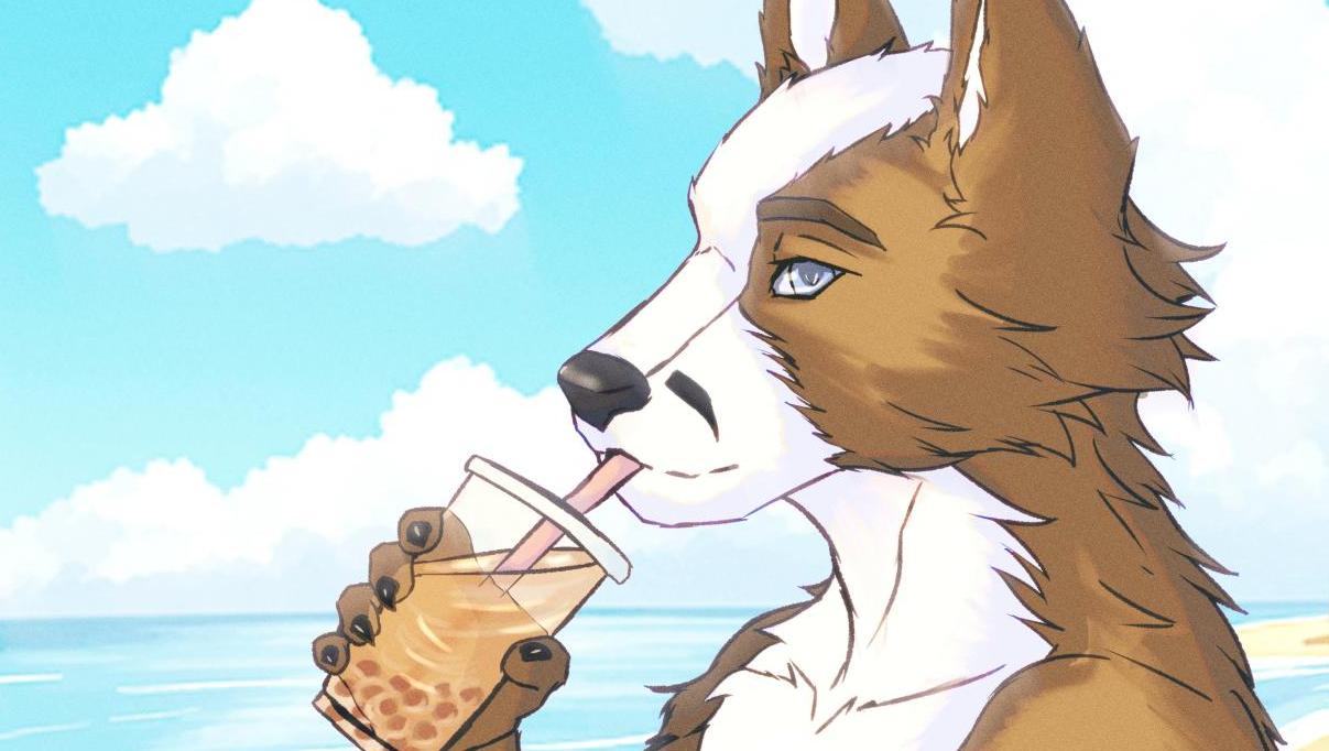 Discovery splash banner for Furry FR Discord server