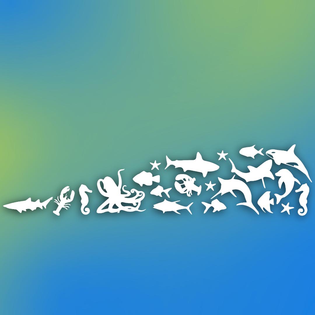 Discovery splash banner for Busch Entertainment Discord server