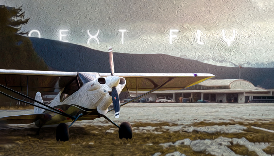 Discovery splash banner for Next Fly Discord server