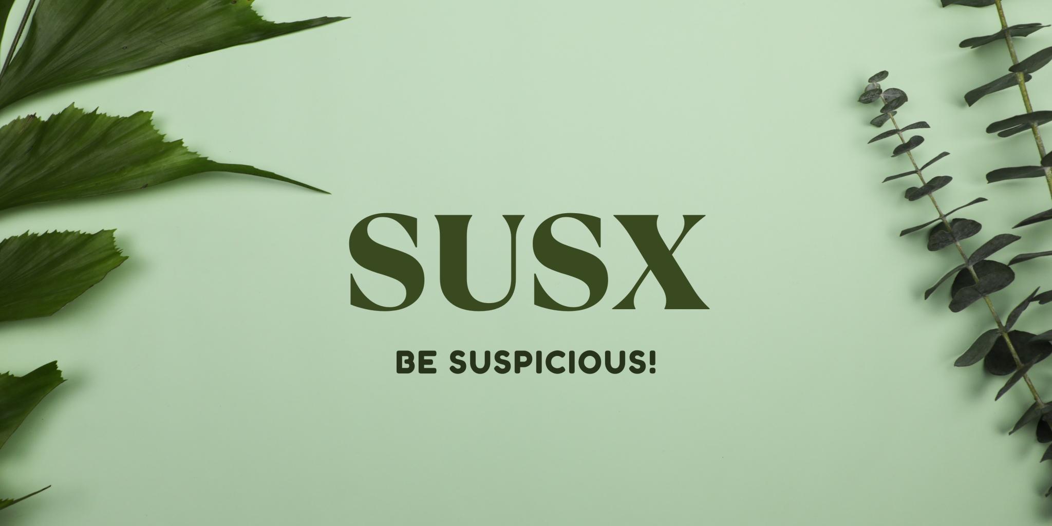 Discovery splash banner for SUSX Discord server