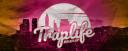 Discovery splash banner for TrapLife Discord server