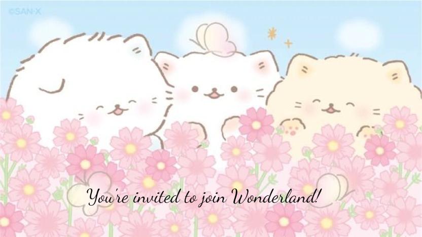 Discovery splash banner for 𝓦𝓸𝓷𝓭𝓮𝓻𝓵𝓪𝓷𝓭 Discord server