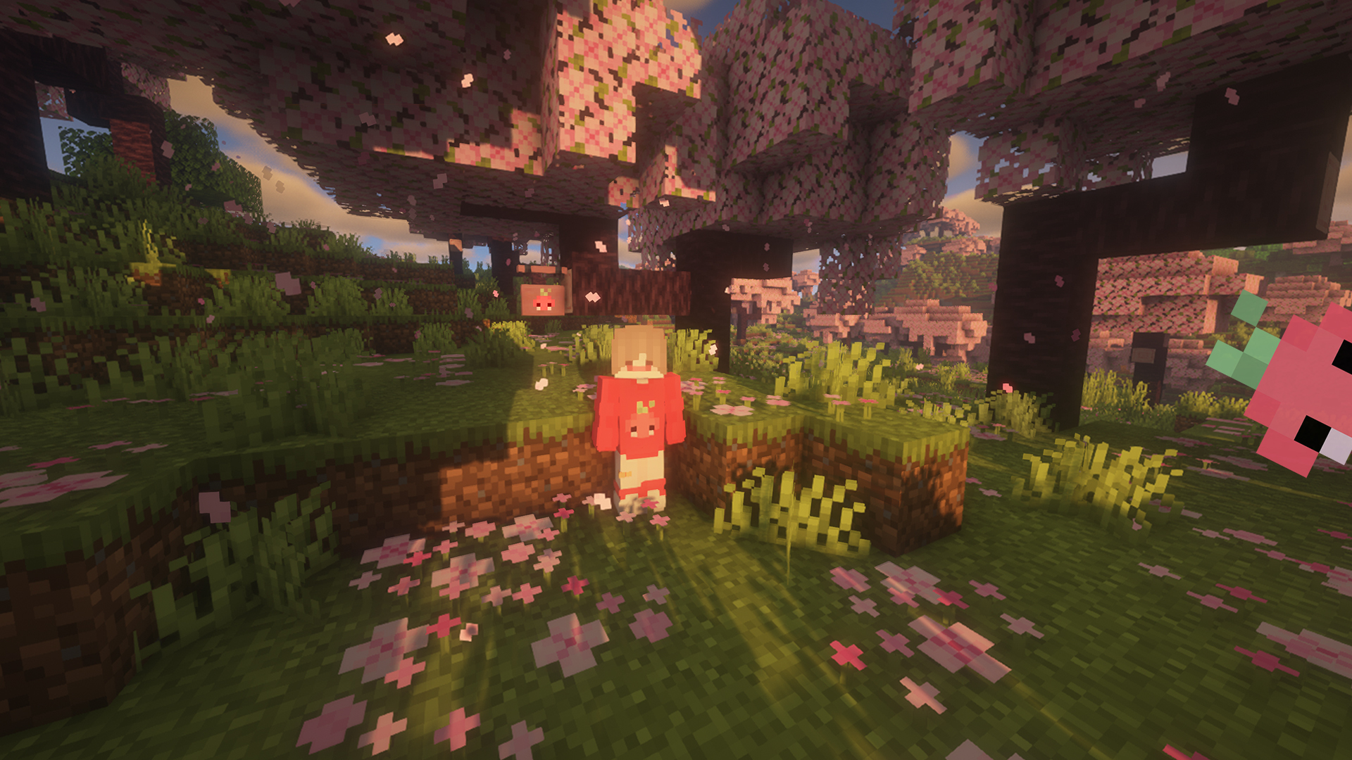 Discovery splash banner for ens - Community Discord server