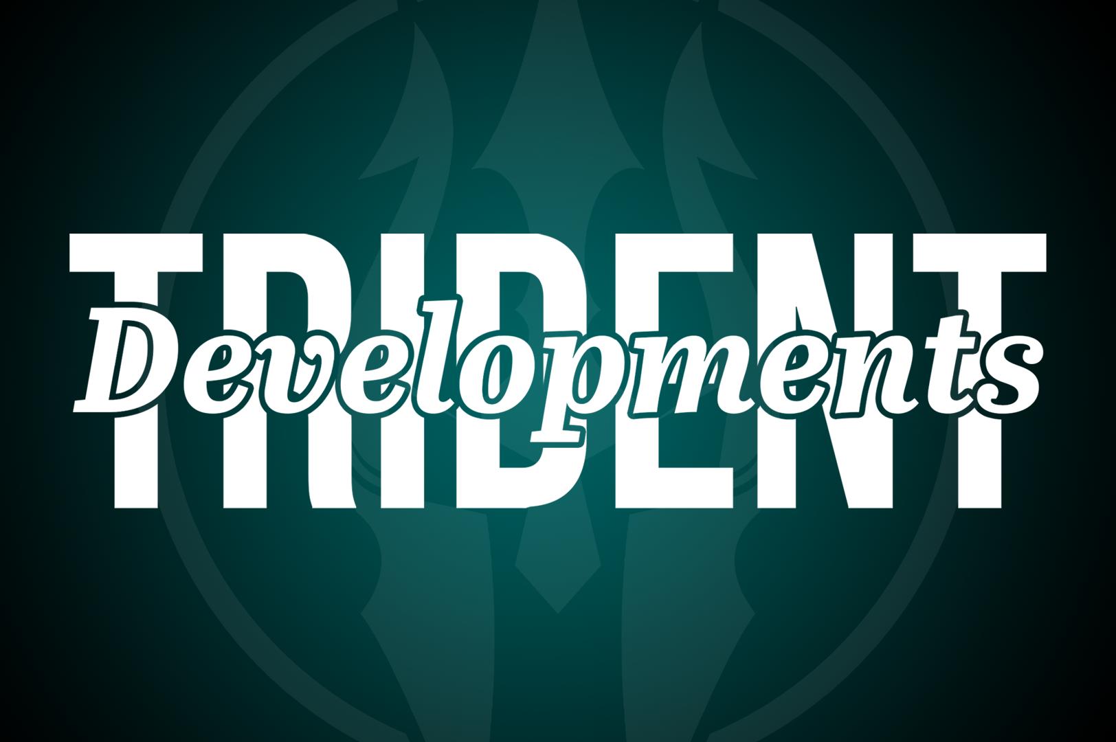 Discovery splash banner for Trident Developments Discord server