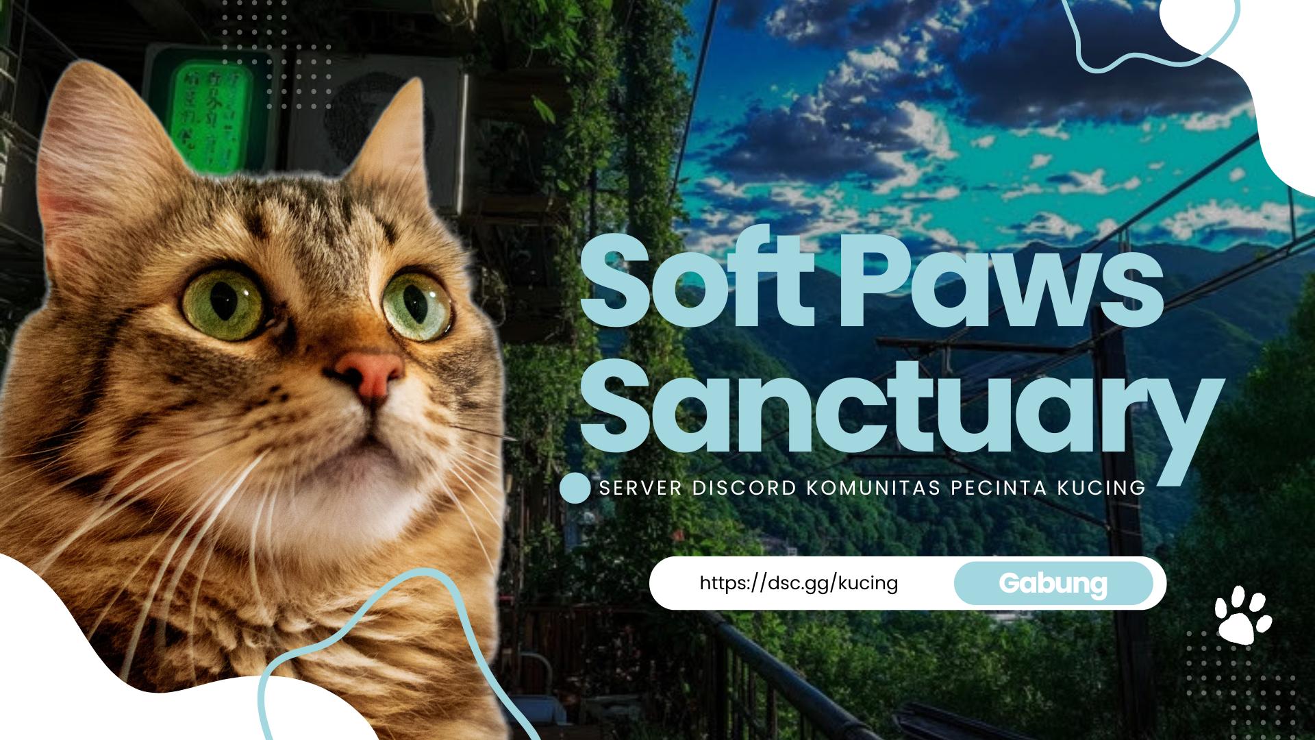 Discovery splash banner for Soft Paws Sanctuary 🐾 Discord server
