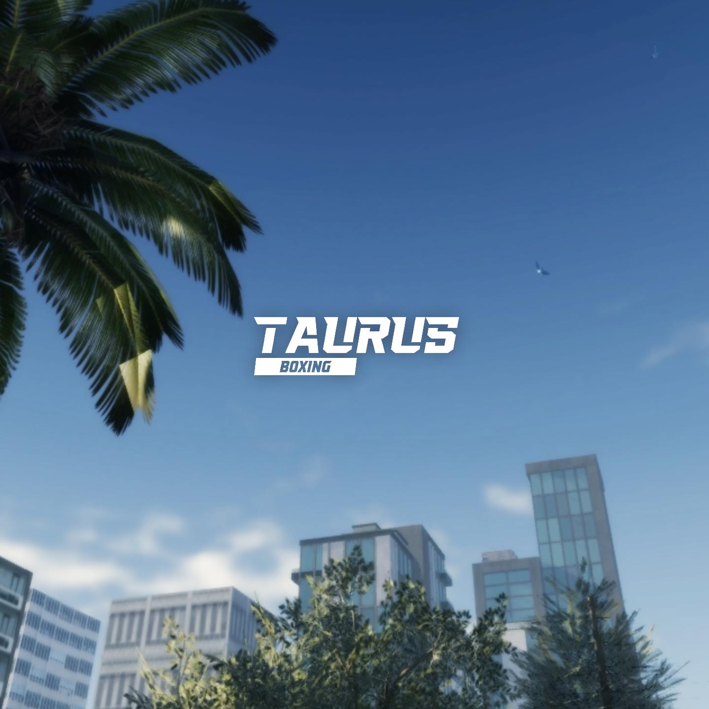Discovery splash banner for Taurus Boxing Discord server