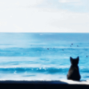 Discovery icon for Sailors ‹3 | fun . sfw . active .  social . music . games Discord server