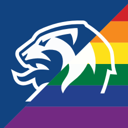 Discovery icon for Norsk Fotball Discord server
