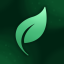 Discovery icon for Мастерская Джунглей 🌳  • Общение  • Игры •  Аниме Discord server