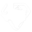Discovery icon for Texas State Roleplay Discord server