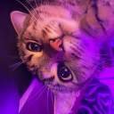 Discovery icon for Rox’s Server Discord server