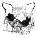 Discovery icon for ಣ  ˙ . ꒷ ノD𝕚e𝕥ყ  . ˙ 🪽  —  ⌗GIVEAWAY ㆍ #STAFFAPPS  𓐇˚𓈒 Discord server
