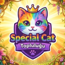 Discovery icon for 𓆩✧𓆪    Special Cat Discord server
