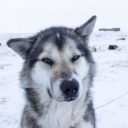Discovery icon for Empired Discord server