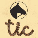 Discovery icon for The Internet's Campfire Discord server
