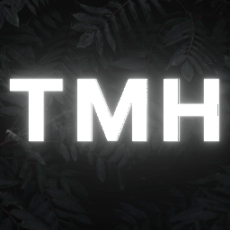 Discovery icon for TMH | APKs And Metadatas Discord server