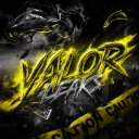 Discovery icon for VALOR | #2.9k Discord server