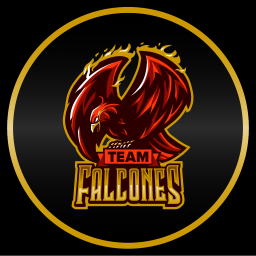 Discovery icon for Team Falcones Discord server