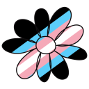 Discovery icon for Transit Discord server