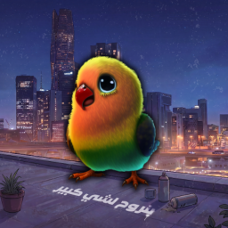 Discovery icon for Cookie Studios | #بنروح_لشي_كبير Discord server