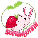 Discovery icon for 🍓BINGUS NATION🍓 Discord server