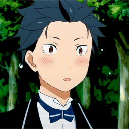 Discovery icon for Animes Paradise | Re:Zero Discord server